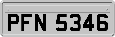 PFN5346
