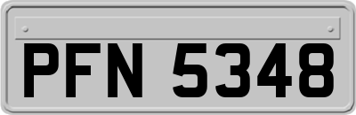 PFN5348