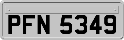 PFN5349