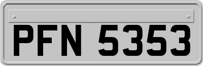 PFN5353