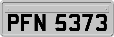 PFN5373