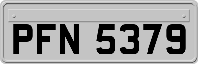 PFN5379