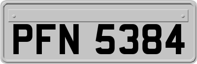 PFN5384