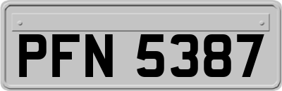 PFN5387