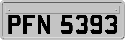 PFN5393