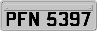PFN5397