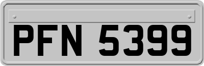 PFN5399
