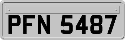 PFN5487