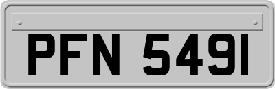 PFN5491