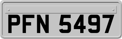 PFN5497