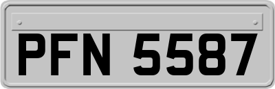 PFN5587