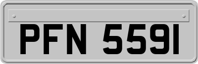 PFN5591