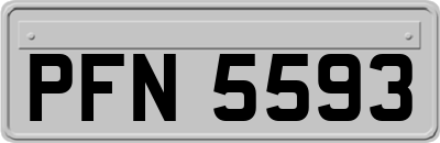 PFN5593