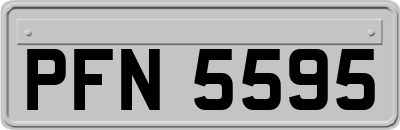 PFN5595