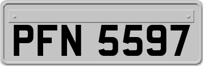PFN5597