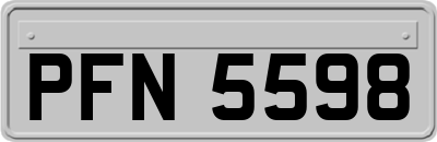 PFN5598