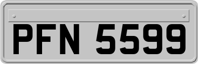 PFN5599