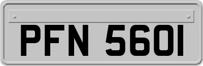 PFN5601