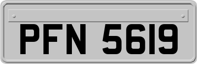 PFN5619