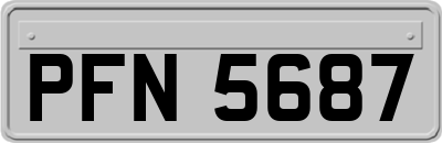 PFN5687