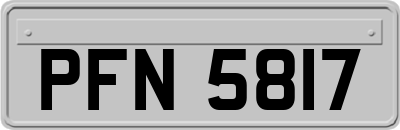 PFN5817