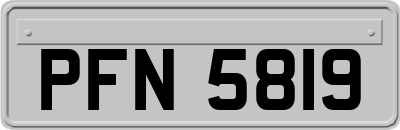 PFN5819