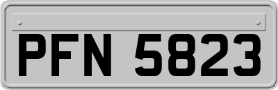 PFN5823