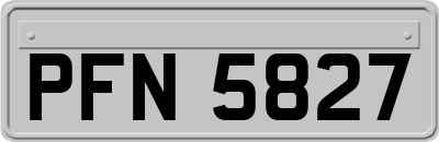 PFN5827
