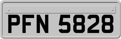 PFN5828