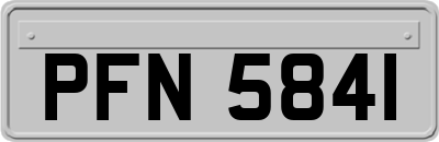 PFN5841