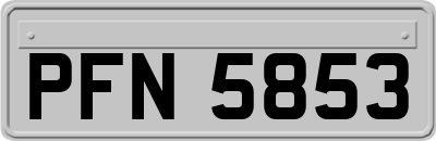 PFN5853