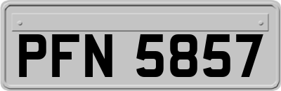 PFN5857