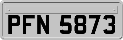 PFN5873
