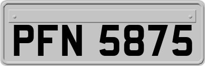 PFN5875