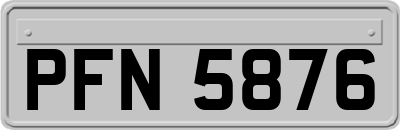 PFN5876