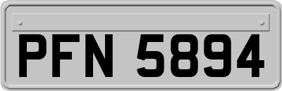 PFN5894