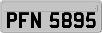 PFN5895