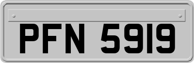 PFN5919