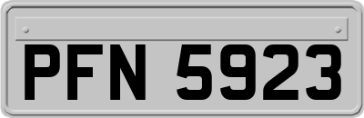PFN5923