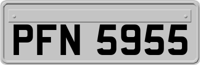 PFN5955