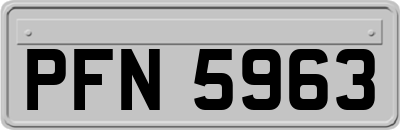 PFN5963