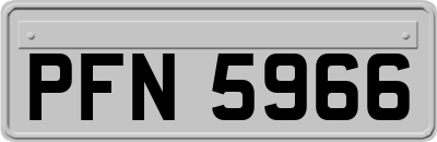 PFN5966
