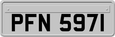 PFN5971
