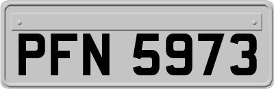 PFN5973