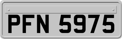PFN5975
