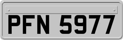 PFN5977