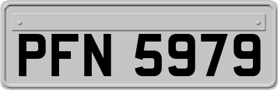 PFN5979
