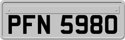 PFN5980