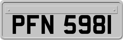 PFN5981