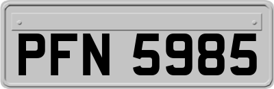 PFN5985